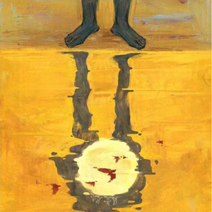 综合资源小鲤导航
