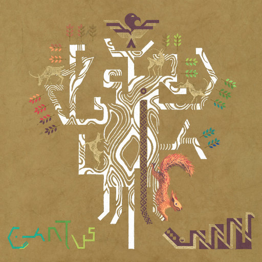 综合资源小鲤导航
